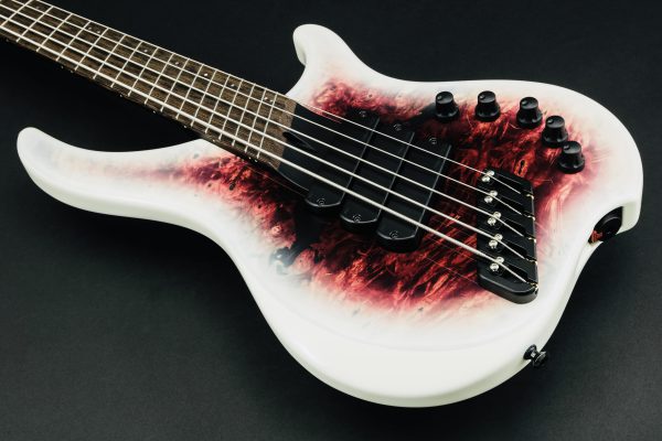 Dingwall ABI 5 Custom